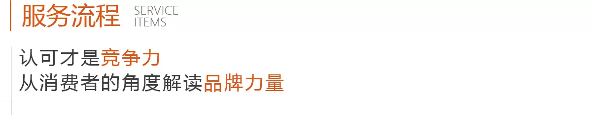 合作流程(图1)